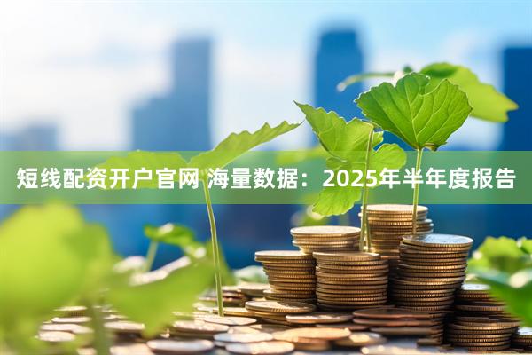 短线配资开户官网 海量数据：2025年半年度报告