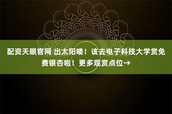 配资天眼官网 出太阳喽！该去电子科技大学赏免费银杏啦！更多观赏点位→