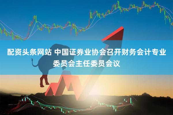 配资头条网站 中国证券业协会召开财务会计专业委员会主任委员会议