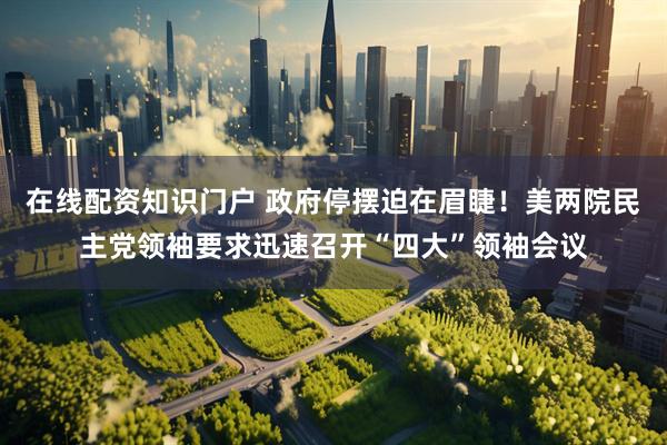在线配资知识门户 政府停摆迫在眉睫！美两院民主党领袖要求迅速召开“四大”领袖会议